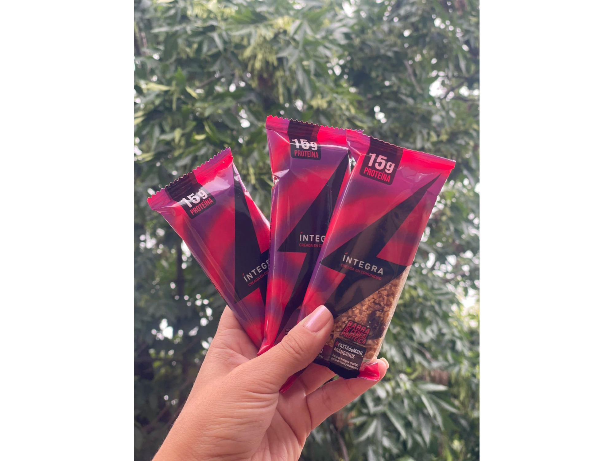 Barritas 15g Proteina