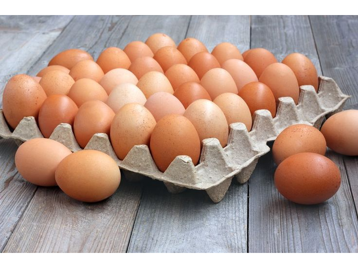 Maple Huevos grandes Color