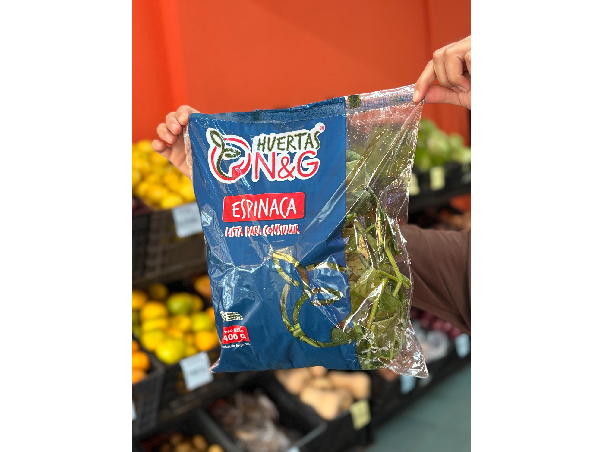 Espinaca