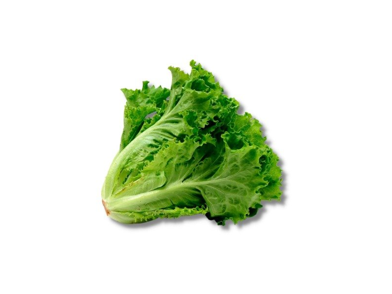 Lechuga Crespa