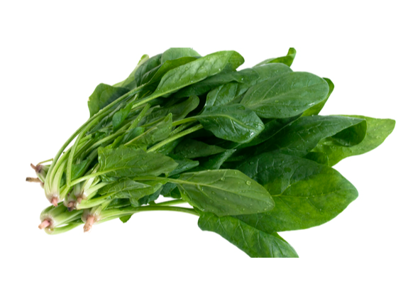 Espinaca