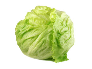 Lechuga Repollada