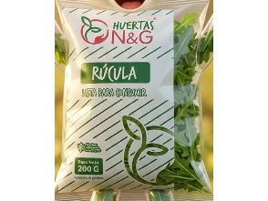 Rucula