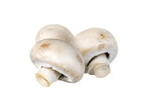 Champignones