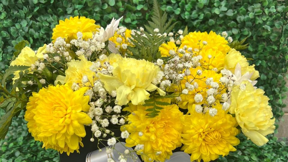 Primavera Amarilla
