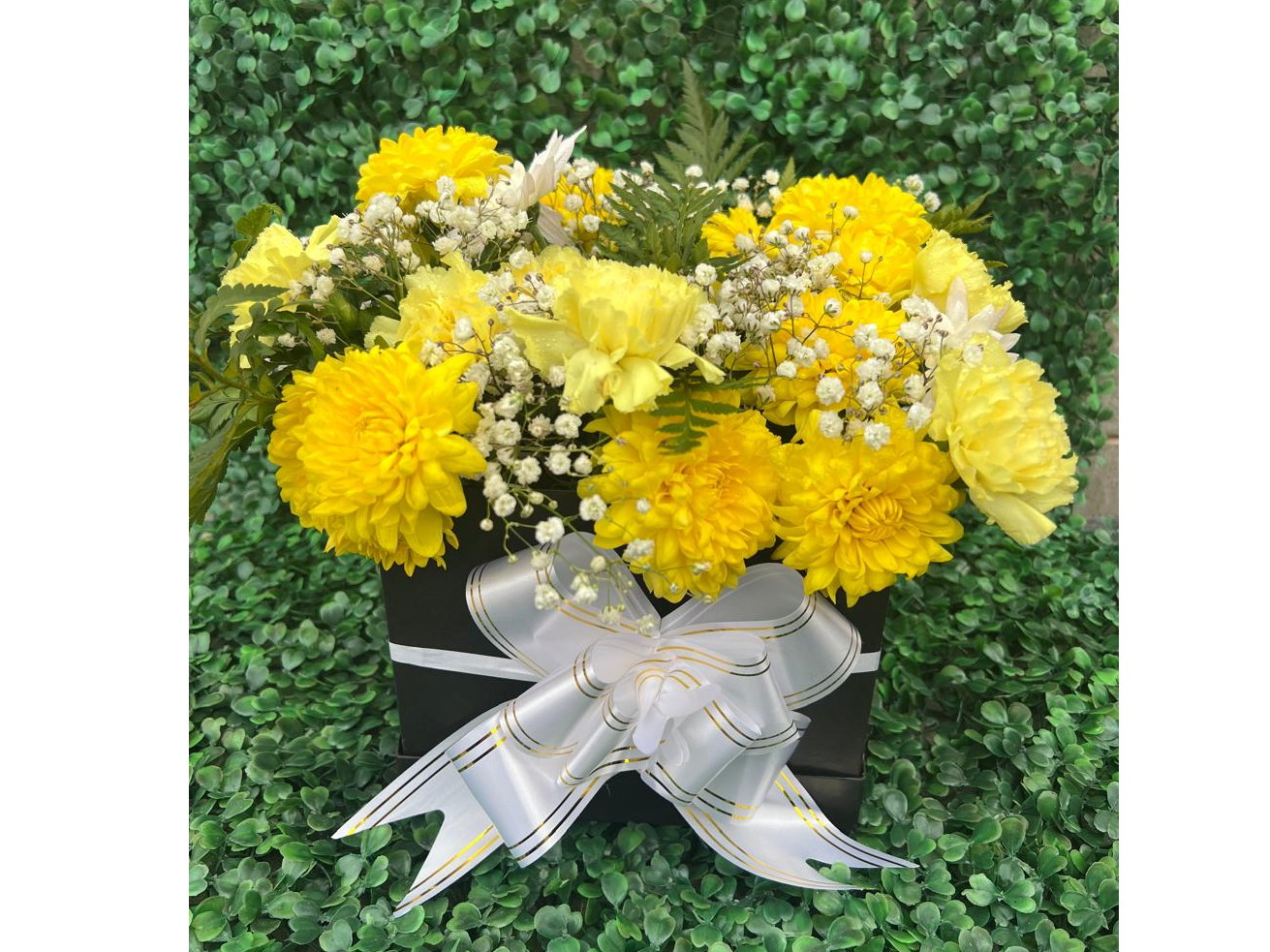 Box Floricienta XL