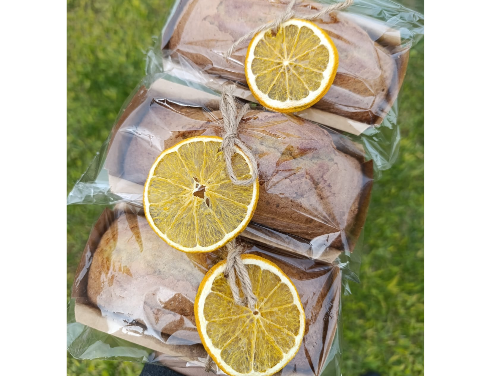 Budin frutal limon~naranja (Copia)