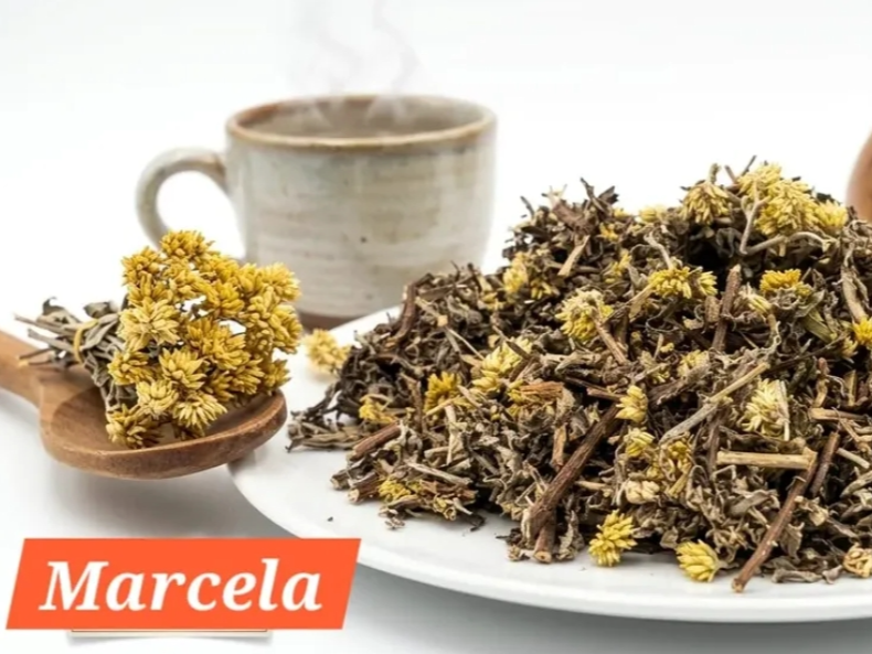 Marcela 50 g