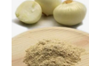 Cebolla en Polvo 50 g