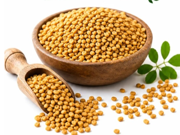 Semillas de fenogreco 100 g