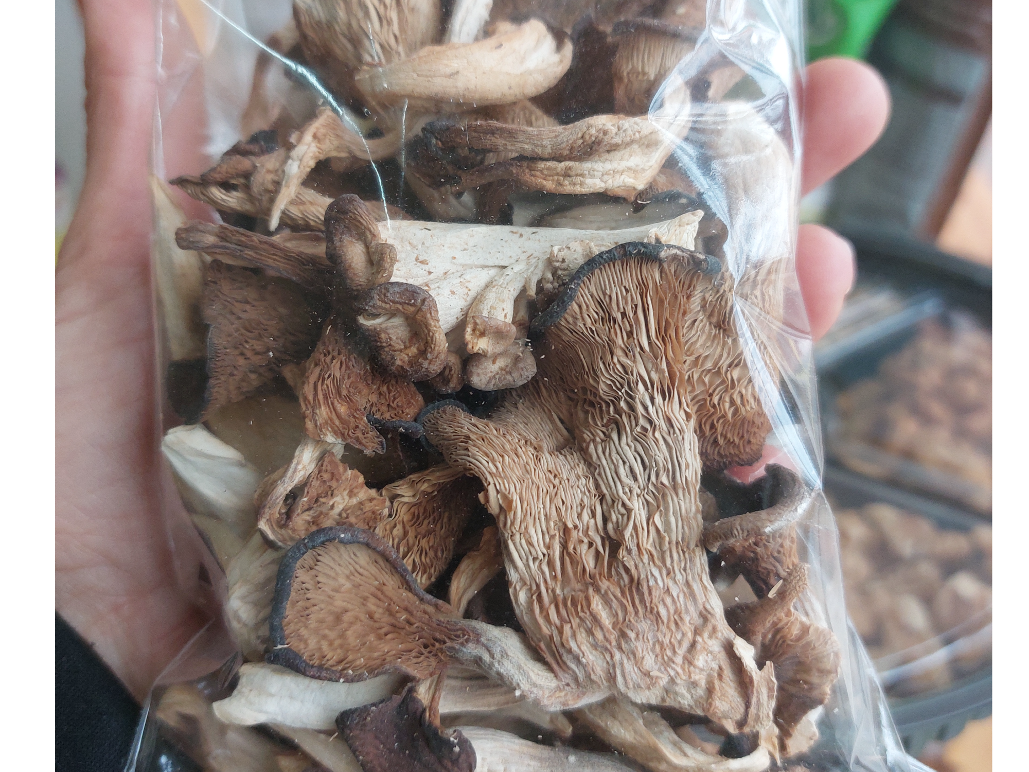 Hongos secos GIRGOLAS  50 g