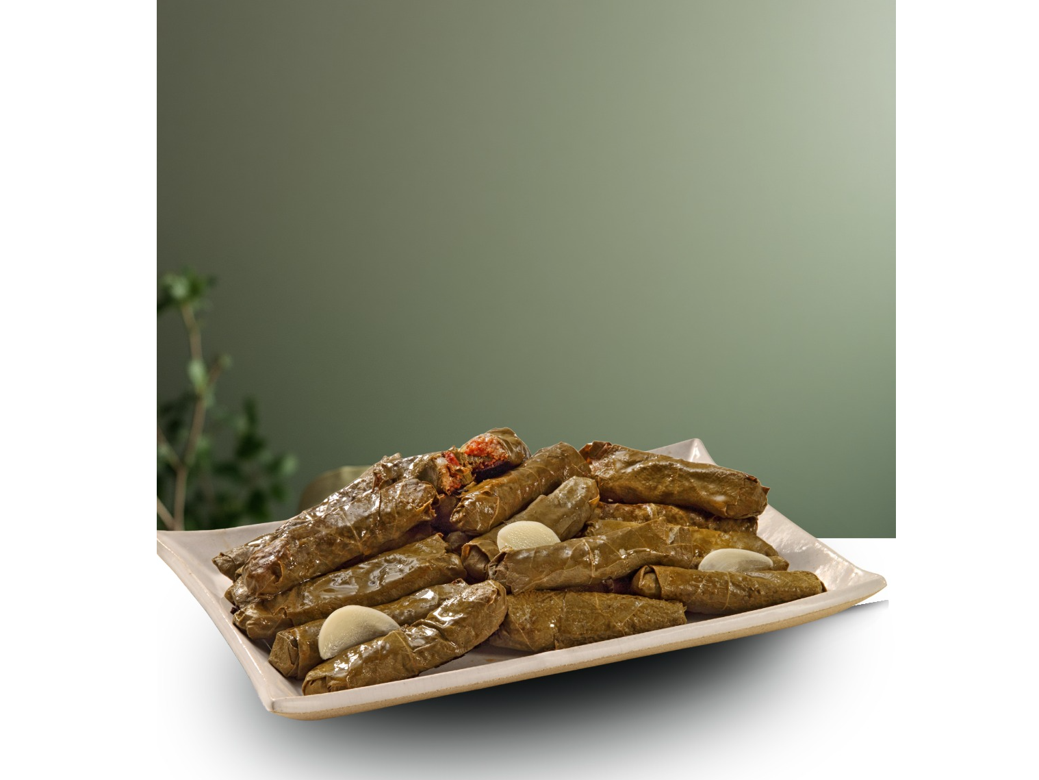 NIÑOS ENVUELTOS (DOLMA)