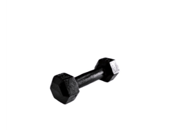 Mancuerna hexagonal de fundicion 3kg