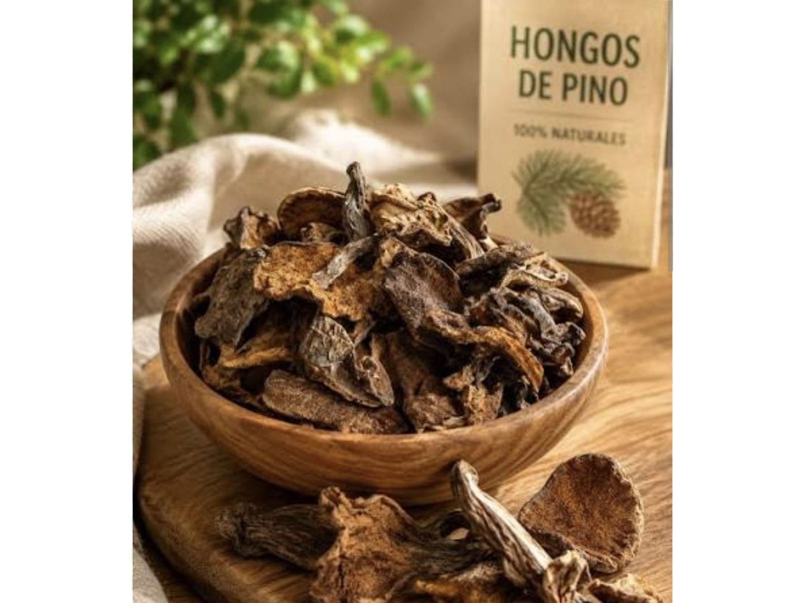 Hongos de pino