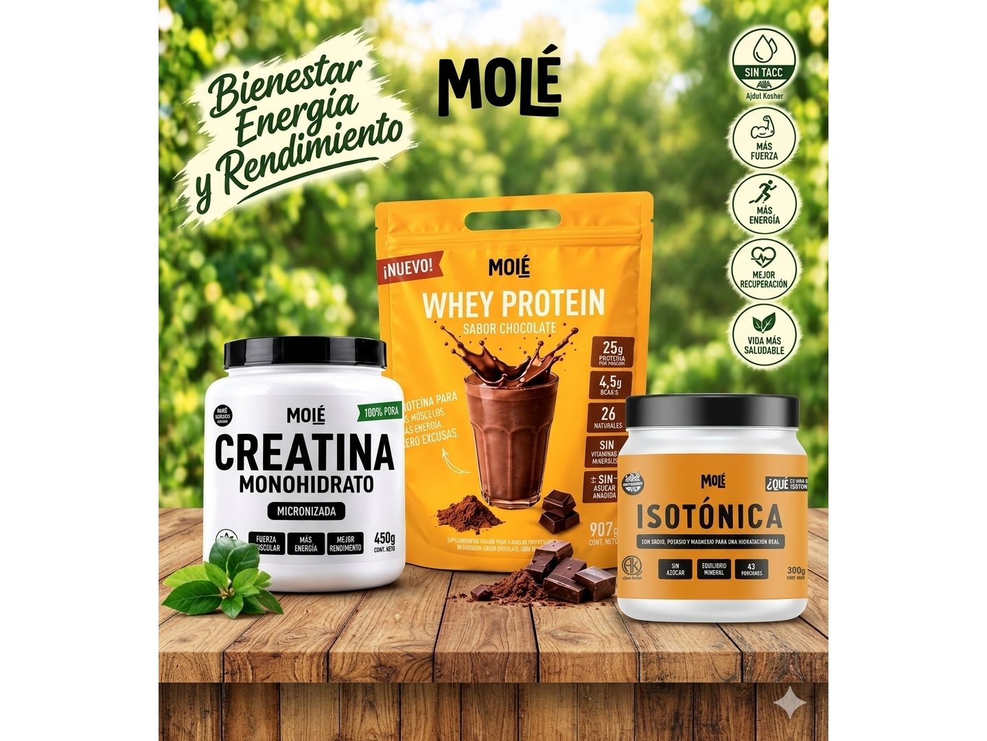 PROTEINA X 960 GRS + CREATINA X 450 GRS + ISOTONICA X 300 GRS