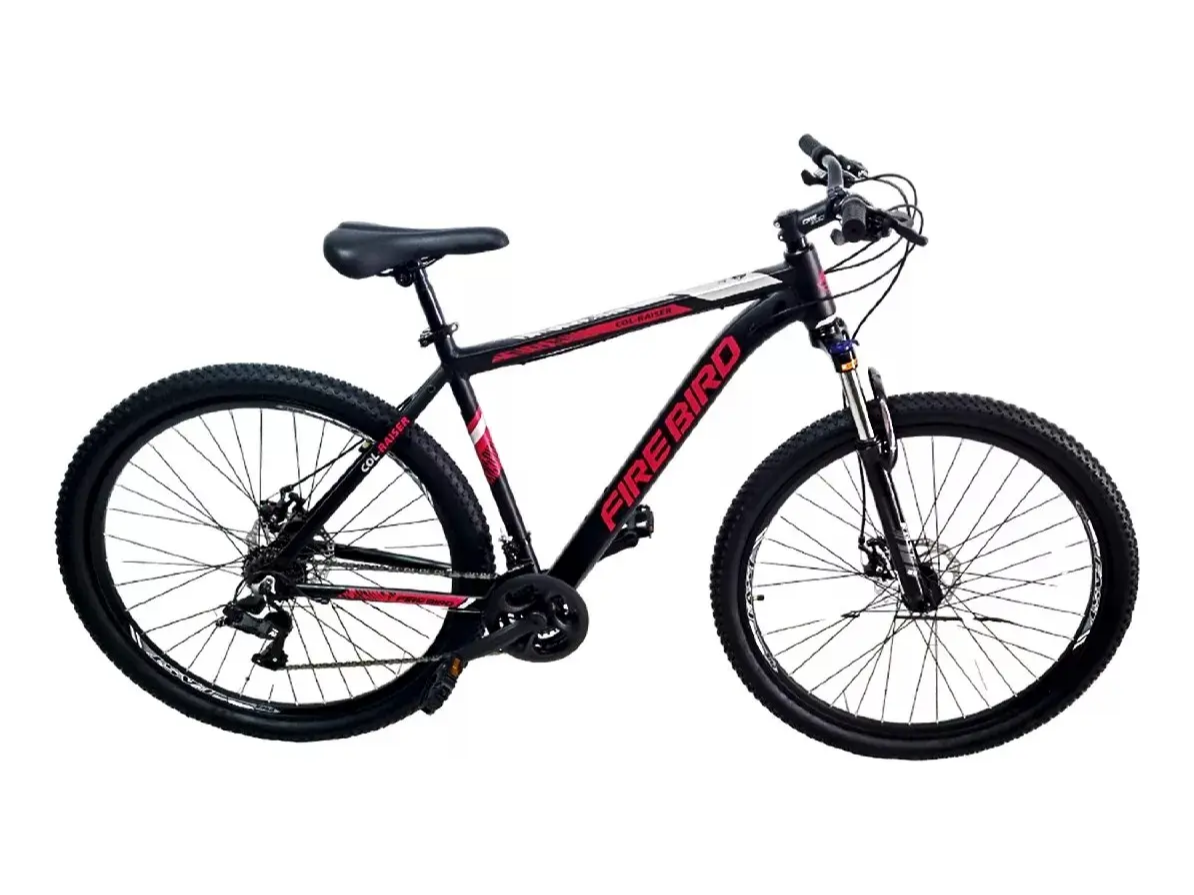 Mountain Bike Fire Bird Rodado 29 con 21 Velocidades y Frenos de Disco
