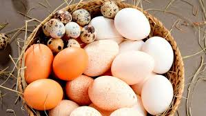 Huevos de Campo