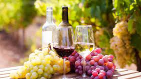 Bebidas Espirituosas