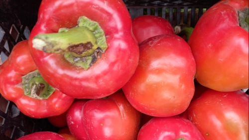 Verduras