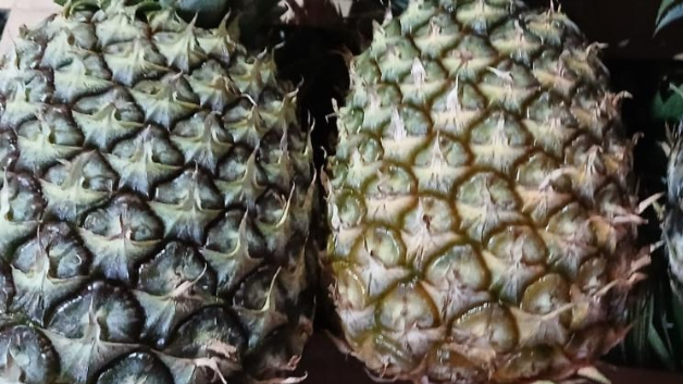 Frutas