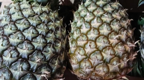 Frutas