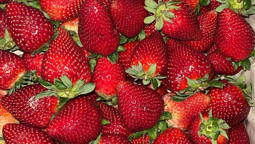 Frutas