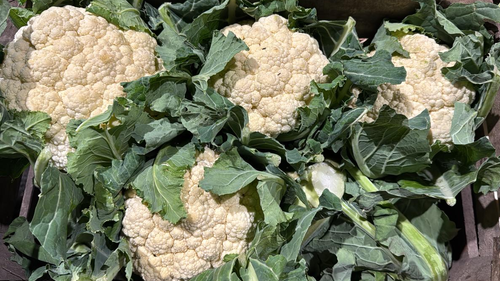 Verduras