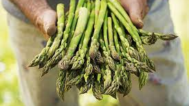 Verduras