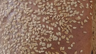 Panificados de Masa Madre y Libres de Gluten