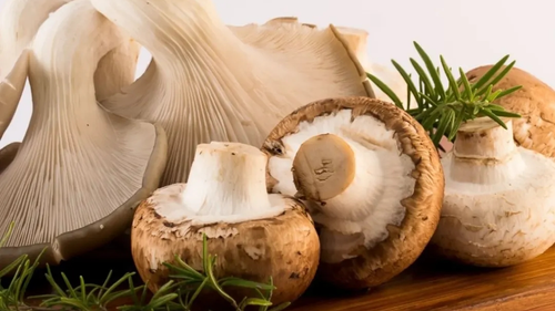 Hongos Comestibles y Adaptógenos "Kaiken"