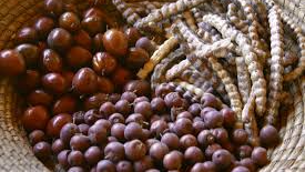 Cafés de Frutos Nativos