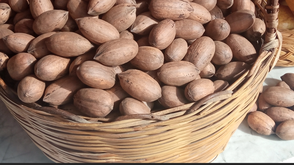 Frutos Secos y Golosanas