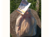 Pollo Entero (1,9 a 2,8 kg aprox c/u) Precio x kg
