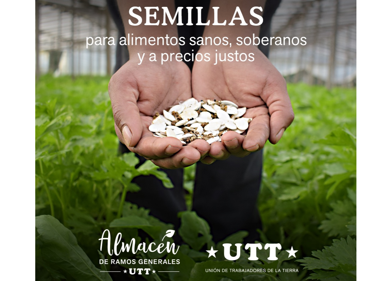 Semillas CoTePo - UTT