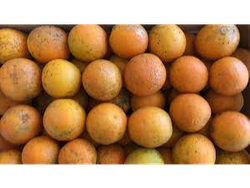 Naranjas p/ Jugo 1k