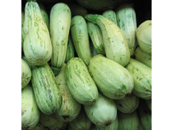 Zucchinis