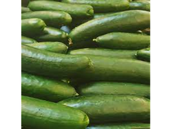 Pepinos