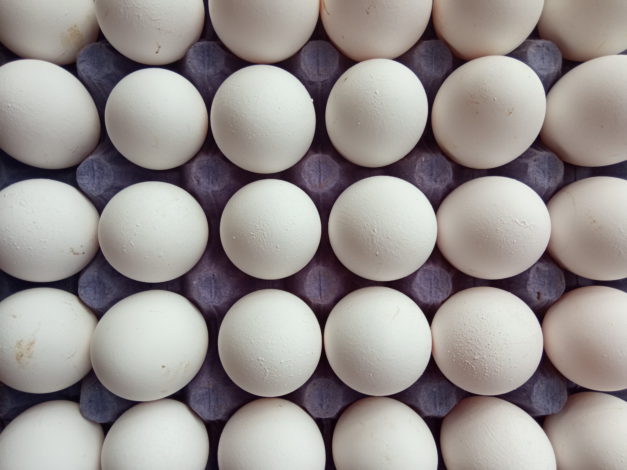 Huevos de Gallinas Blancas
