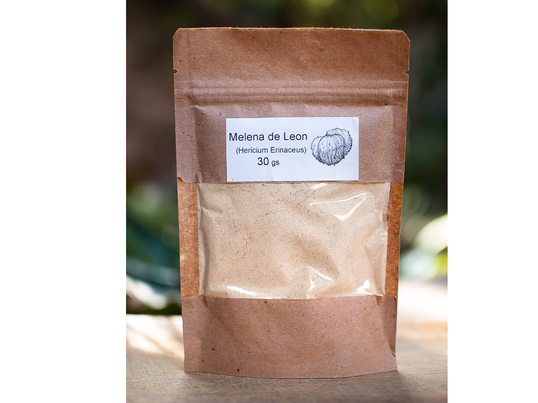 Melena de Leon en Polvo "Kaiken"