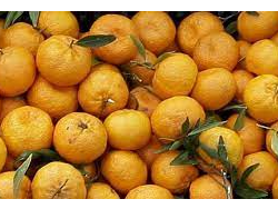 Mandarinas