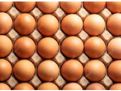 Huevos de Campo Colorados