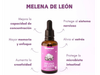 Doble Extracto al 30% de Melena de León "Kaiken" 50ml