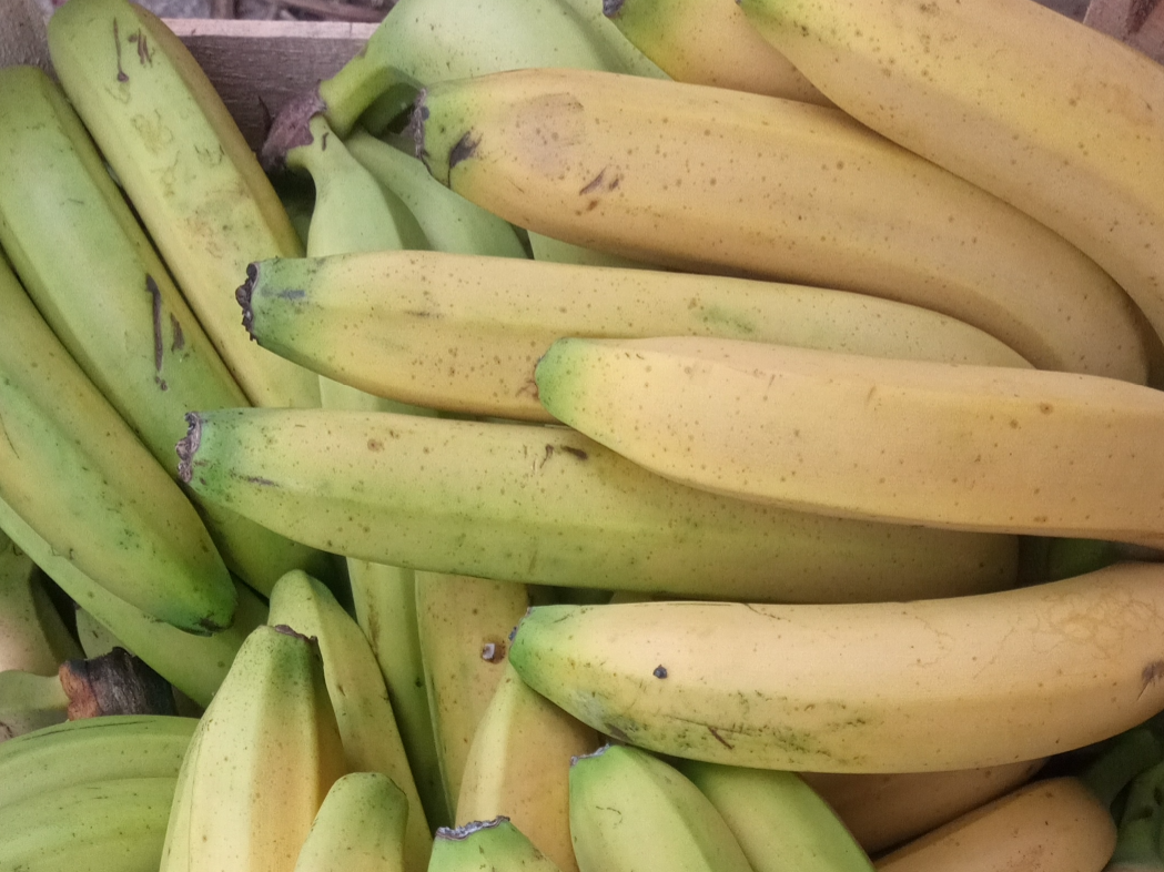 Bananas