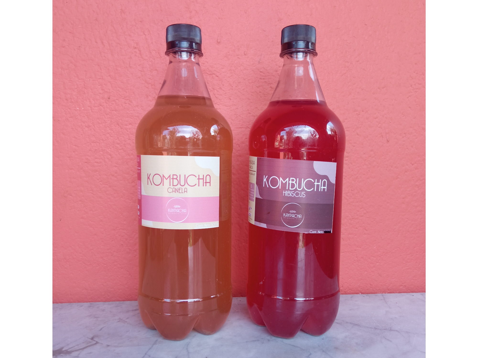 Kombucha "Kaypacha" 1L.