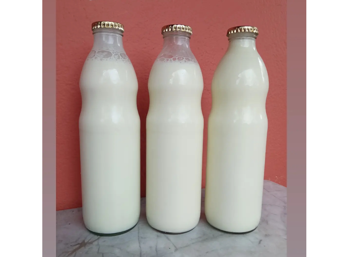 Yogurth sabor Natural 1 L. "Granja Negrindis"