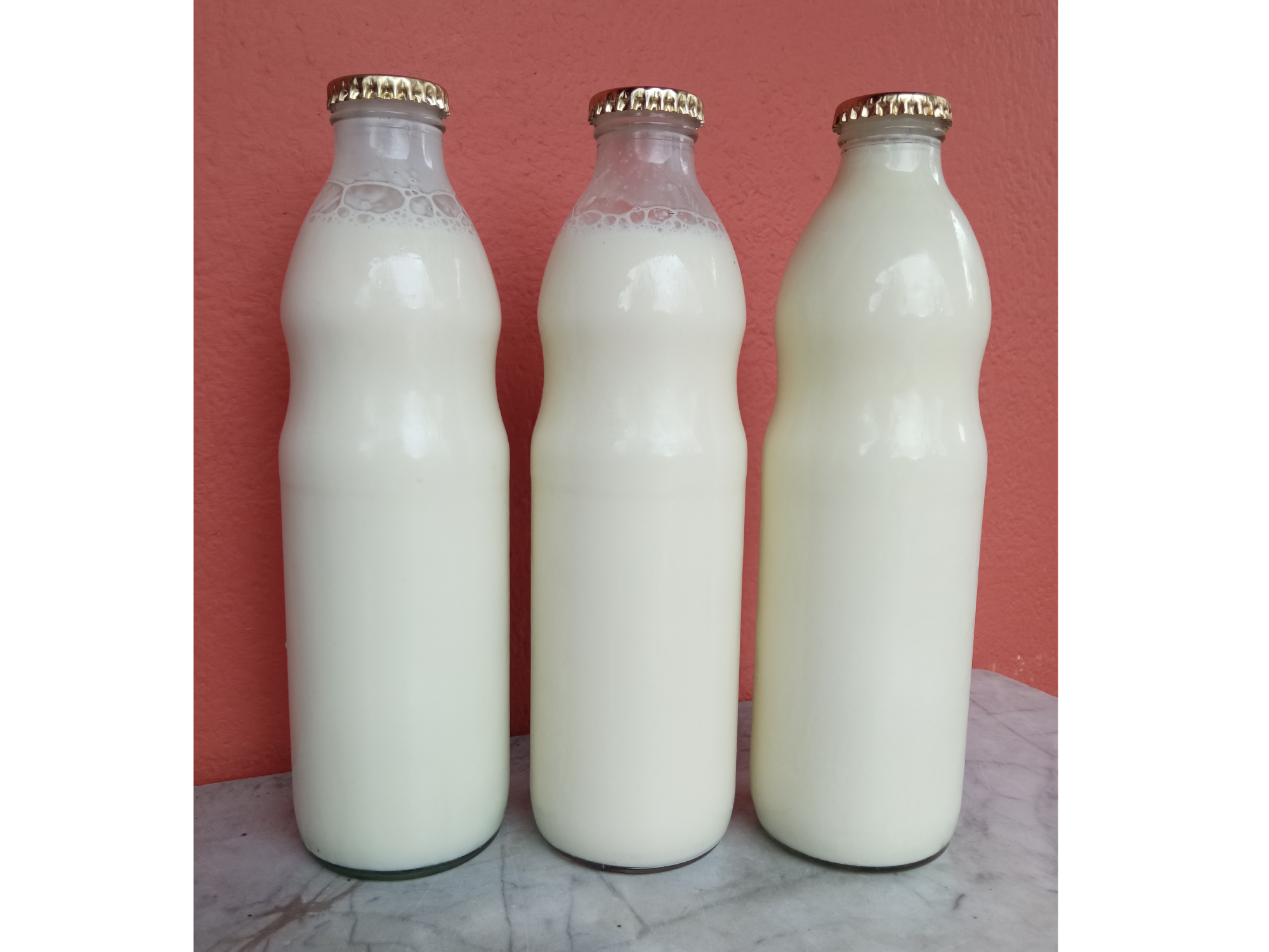 Leche Entera 1 L. "Granja Negrindis"