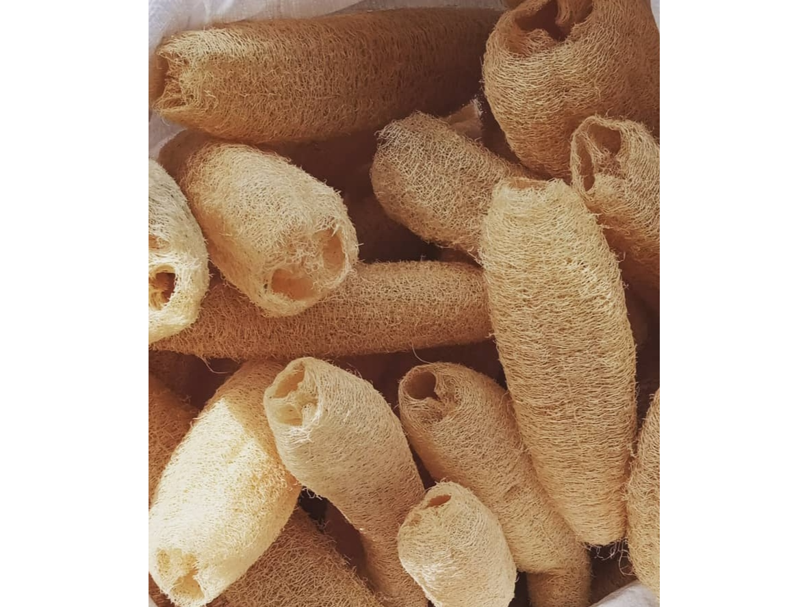 Esponjas Vegetales (Luffas)