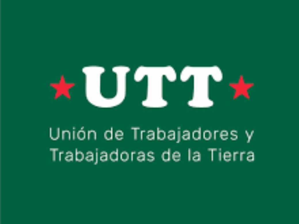 Combo Pesado 1 >> 3k