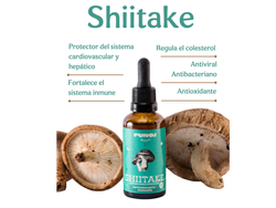 TM al 30% de Shiitake "Kaiken" 60ml