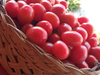 Tomates Cherry